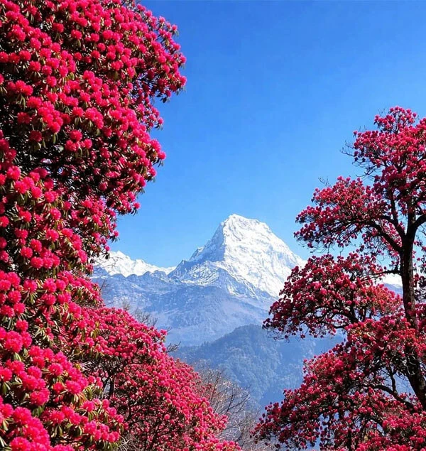 Trekking in Nepal