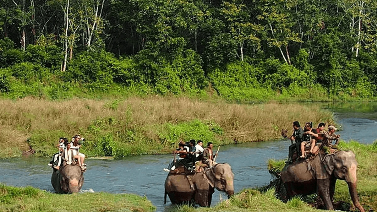 1 Nights 2 Days Chitwan Jungle Safari
