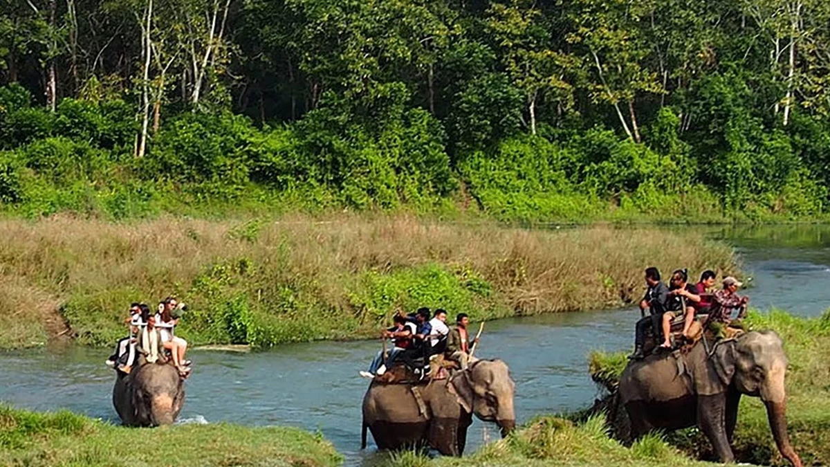 1 Nights 2 Days Chitwan Jungle Safari