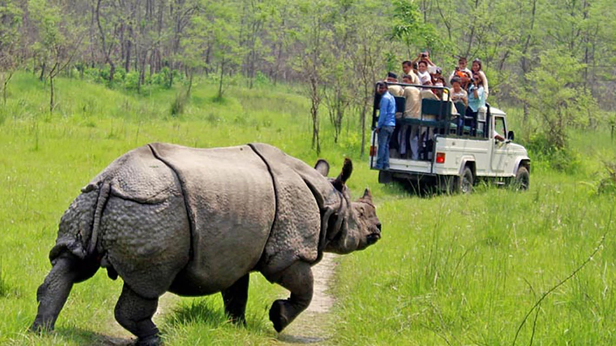 1 Nights 2 Days Chitwan Jungle Safari