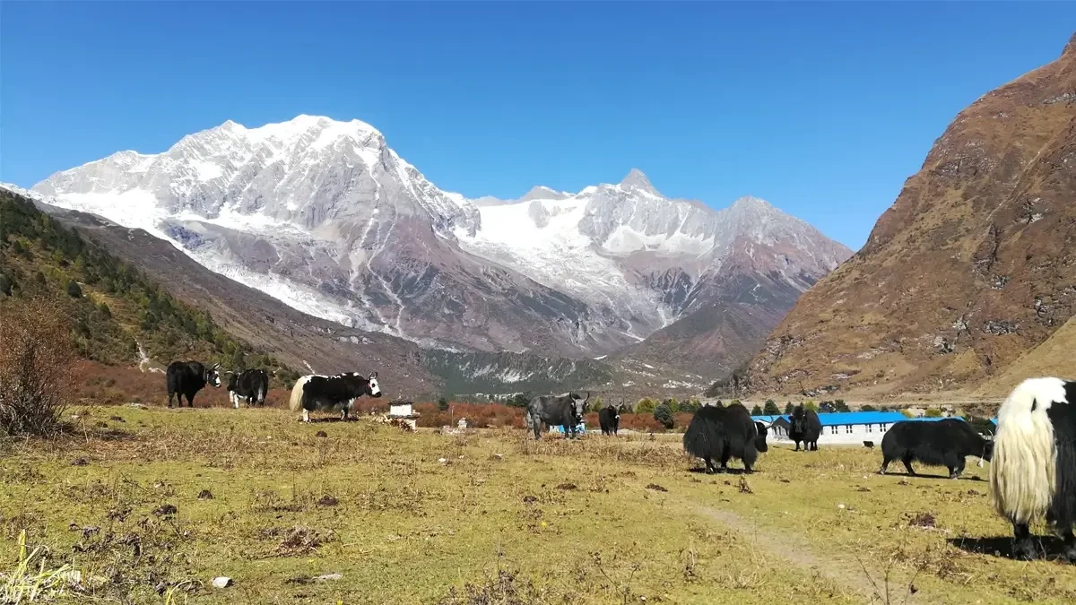 Manaslu Circuit Trek