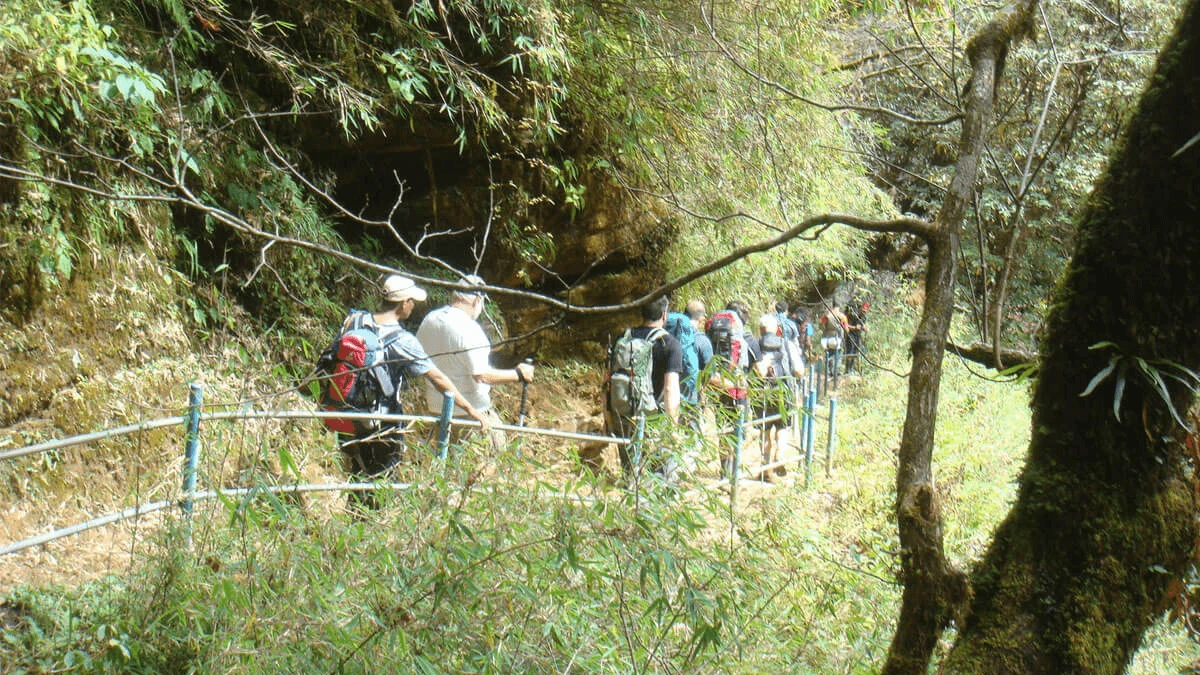 trekker-walking-through-rhododendron-forest-on-ghorepani-trail
