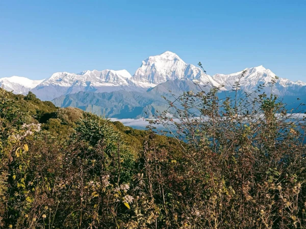Gorepani Poonhill Trekking